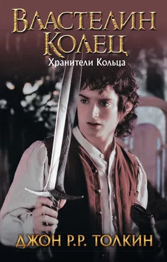 Джон Толкин Хранители Кольца обложка книги