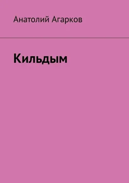 Анатолий Агарков Кильдым обложка книги