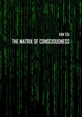 Van Tzu The Matrix of Consciousness обложка книги