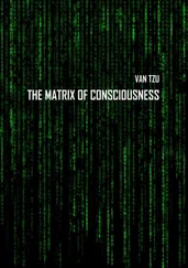 Van Tzu - The Matrix of Consciousness