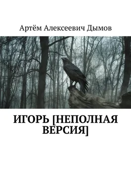 Артём Дымов Игорь [неполная версия] обложка книги