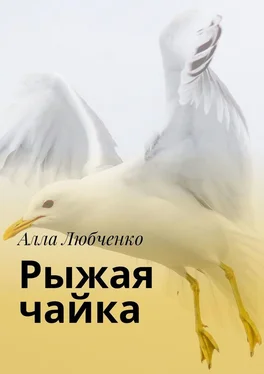 Алла Любченко Рыжая чайка обложка книги