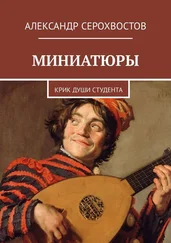 Александр Серохвостов - Миниатюры. Крик души студента