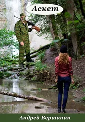 Андрей Вершинин - Аскет