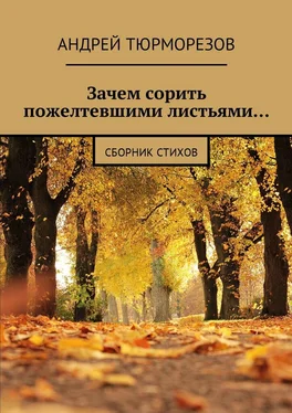 Андрей Тюрморезов Зачем сорить пожелтевшими листьями… Сборник стихов обложка книги