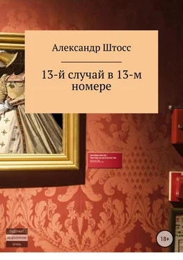 Александр Виноградов 13-й случай в 13-ом номере обложка книги