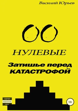 Василий Юрьев Нулевые. Затишье перед катастрофой обложка книги