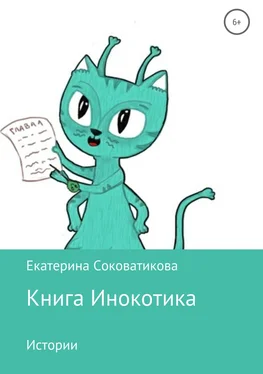 Екатерина Соковатикова Книга Инокотика обложка книги