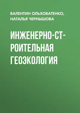 Наталья Чернышова Инженерно-строительная геоэкология обложка книги