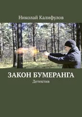 Николай Калифулов - Закон бумеранга. Детектив