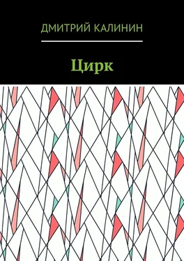 Дмитрий Калинин Цирк обложка книги