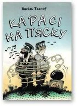 Васіль Ткачоў Карасі на пяску обложка книги