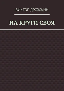 Виктор Дрожжин На круги своя обложка книги