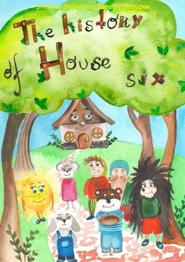 Svetlana Dobychina The History of House Six обложка книги