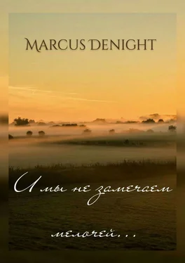 Marcus Denight И мы не замечаем мелочей… обложка книги