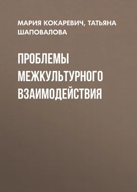 Татьяна Шаповалова Проблемы межкультурного взаимодействия обложка книги