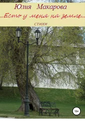 Юлия Макарова - Есть у меня на земле… Сборник стихотворений