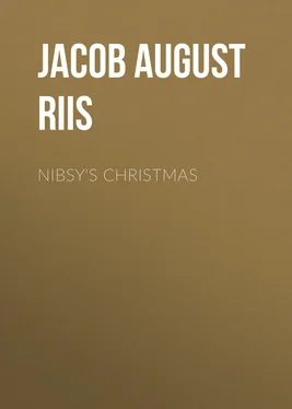 Jacob August Riis Nibsy's Christmas обложка книги