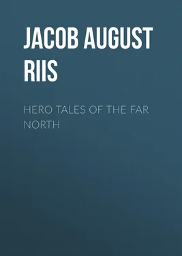 Jacob August Riis Hero Tales of the Far North обложка книги