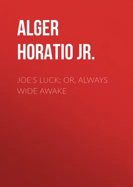 Horatio Alger Joe's Luck; Or, Always Wide Awake обложка книги