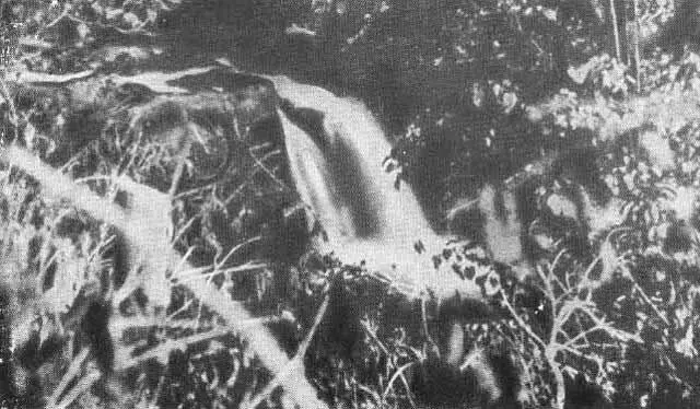 Ваилима Водопад Луис в 1893 году Фэнни и служанка перед каминов в Ваилиме - фото 29