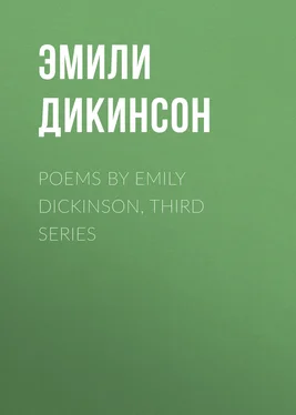 Эмили Дикинсон Poems by Emily Dickinson, Third Series обложка книги