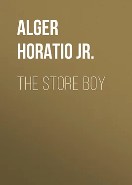 Horatio Alger The Store Boy обложка книги