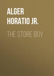 Horatio Alger - The Store Boy