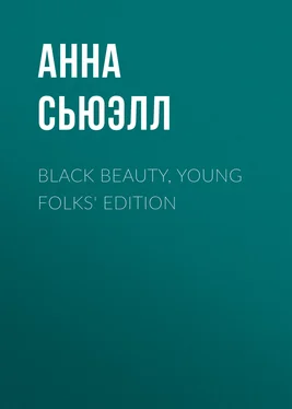 Анна Сьюэлл Black Beauty, Young Folks' Edition обложка книги