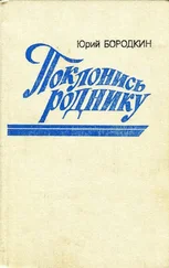 Юрий Бородкин - Поклонись роднику
