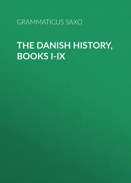 Grammaticus Saxo The Danish History, Books I-IX обложка книги