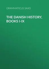 Grammaticus Saxo - The Danish History, Books I-IX