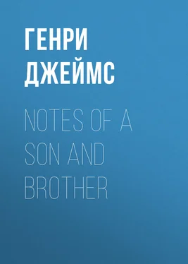 Генри Джеймс Notes of a Son and Brother обложка книги