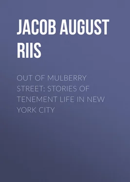 Jacob August Riis Out of Mulberry Street: Stories of Tenement life in New York City обложка книги