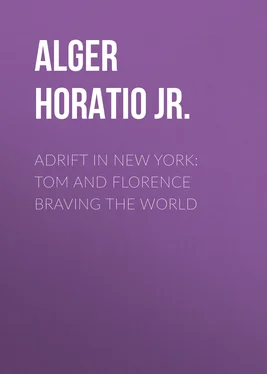 Horatio Alger Adrift in New York: Tom and Florence Braving the World обложка книги