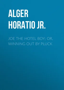 Horatio Alger Joe the Hotel Boy; Or, Winning out by Pluck обложка книги