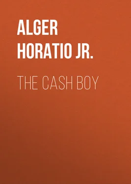 Horatio Alger The Cash Boy