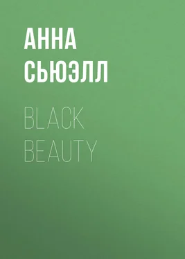 Анна Сьюэлл Black Beauty обложка книги
