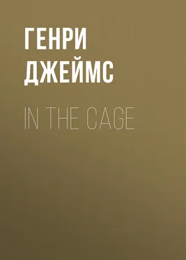 Генри Джеймс In the Cage обложка книги