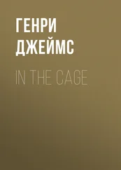 Генри Джеймс - In the Cage