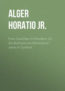 Horatio Alger From Canal Boy to President; Or, the Boyhood and Manhood of James A. Garfield обложка книги