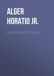 Horatio Alger - Andy Grant's Pluck