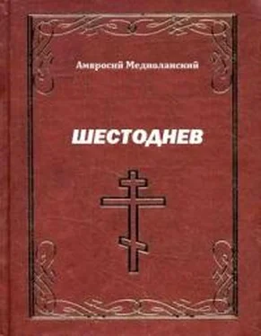 Амвросий Медиоланский Шестоднев обложка книги