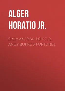 Horatio Alger Only an Irish Boy; Or, Andy Burke's Fortunes обложка книги