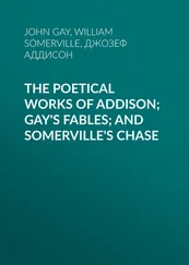 William Somerville - The Poetical Works of Addison; Gay's Fables; and Somerville's Chase