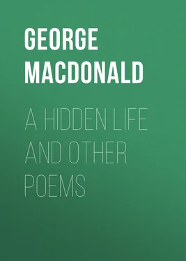 George MacDonald A Hidden Life and Other Poems обложка книги