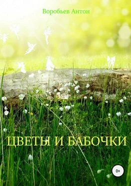 Антон Воробьев Цветы и бабочки обложка книги