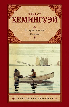 Эрнест Хемингуэй Старик и море. Рассказы (сборник) обложка книги