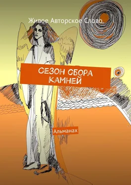 Татьяна Помысова Сезон сбора камней. Альманах обложка книги