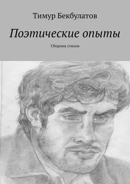 Тимур Бекбулатов Поэтические опыты. Сборник стихов обложка книги